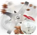 51NXjuMFCkL._AC_SL1000_.webp