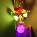 71XBiYJro0L._AC_SL1500_.webp