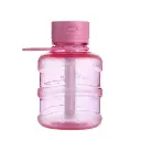DARKZONE Plastic Bottle Humidifier for Room Air Freshener
