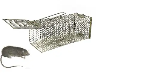 Rat/Mouse/Rodent Trap Cage Rustic Copper (Chain Trap)